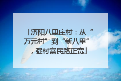 济阳八里庄村：从“万元村”到“新八里”，强村富民路正宽