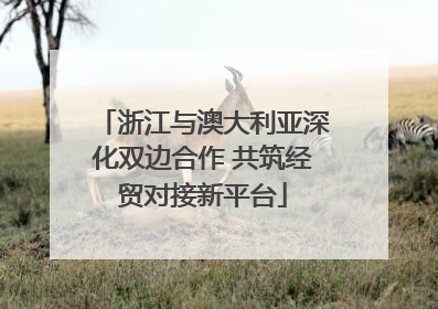 浙江与澳大利亚深化双边合作 共筑经贸对接新平台