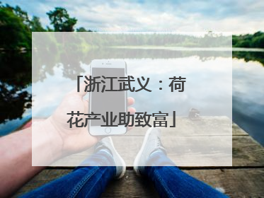 浙江武义：荷花产业助致富