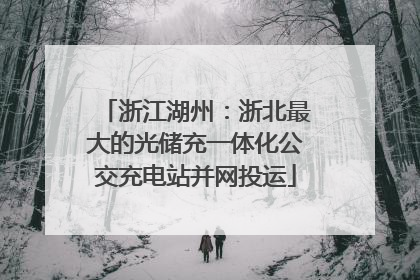 浙江湖州：浙北最大的光储充一体化公交充电站并网投运