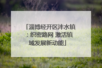 淄博经开区沣水镇：织密路网 激活镇域发展新动能