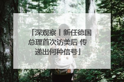 深观察丨新任德国总理首次访美后 传递出何种信号