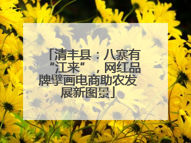 清丰县：八寨有“江来”，网红品牌擘画电商助农发展新图景