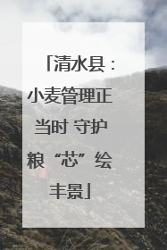 清水县：小麦管理正当时 守护粮“芯”绘丰景