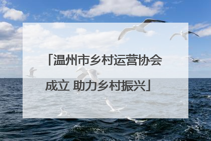 温州市乡村运营协会成立 助力乡村振兴