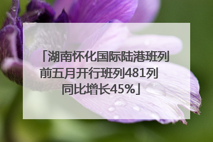 湖南怀化国际陆港班列前五月开行班列481列 同比增长45%