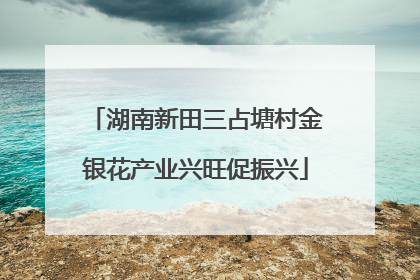 湖南新田三占塘村金银花产业兴旺促振兴