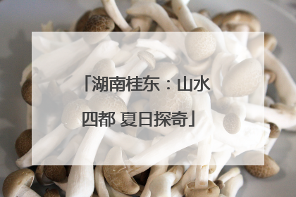 湖南桂东：山水四都 夏日探奇