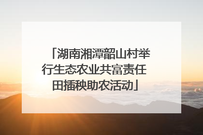 湖南湘潭韶山村举行生态农业共富责任田插秧助农活动
