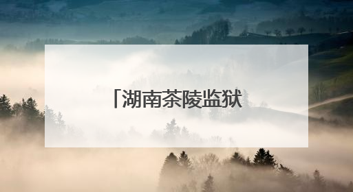 湖南茶陵监狱开展庆祝端午节系列活动