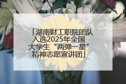 湖南财工职院团队入选2025年全国大学生“两弹一星”精神志愿宣讲团
