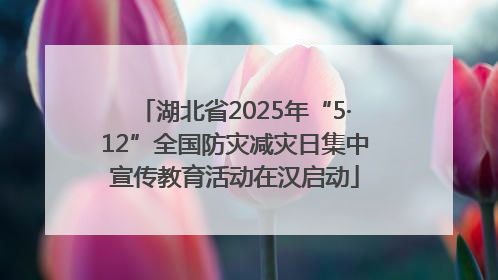 湖北省2025年“5·12”全国防灾减灾日集中宣传教育活动在汉启动