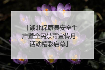 湖北保康县安全生产暨全民禁毒宣传月活动精彩启幕