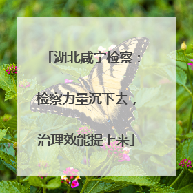 湖北咸宁检察：检察力量沉下去，治理效能提上来