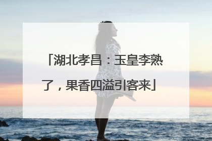 湖北孝昌：玉皇李熟了，果香四溢引客来