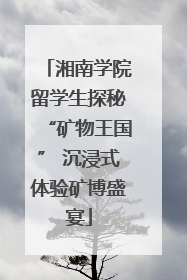 湘南学院留学生探秘“矿物王国” 沉浸式体验矿博盛宴