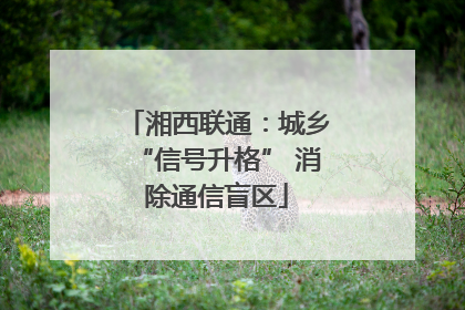湘西联通：城乡“信号升格” 消除通信盲区