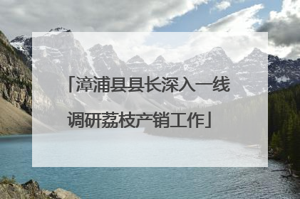 漳浦县县长深入一线调研荔枝产销工作