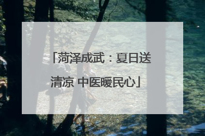 菏泽成武：夏日送清凉 中医暖民心
