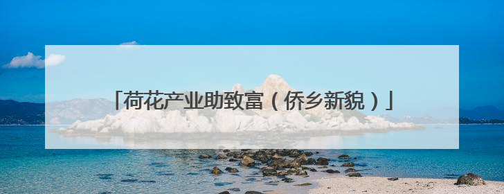 荷花产业助致富（侨乡新貌）