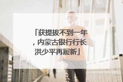 获提拔不到一年，内蒙古银行行长洪少平再履新