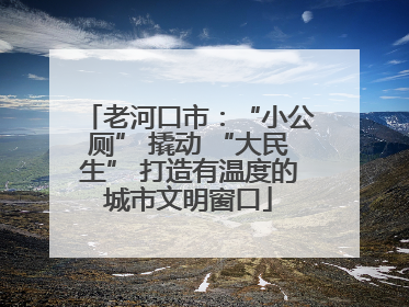 老河口市：“小公厕” 撬动 “大民生” 打造有温度的城市文明窗口