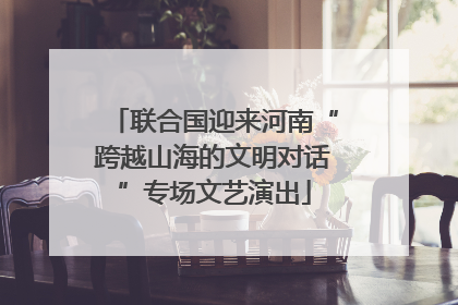 联合国迎来河南“跨越山海的文明对话”专场文艺演出