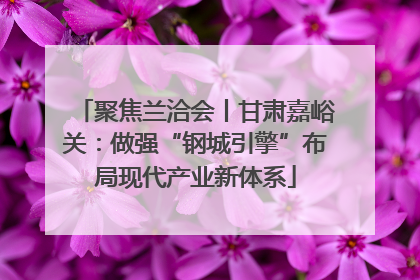 聚焦兰洽会丨甘肃嘉峪关：做强“钢城引擎”布局现代产业新体系