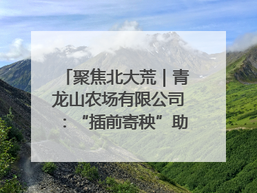 聚焦北大荒｜青龙山农场有限公司：“插前寄秧”助力农业节本增效