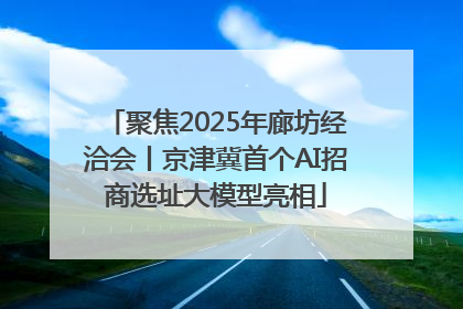 聚焦2025年廊坊经洽会丨京津冀首个AI招商选址大模型亮相