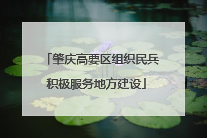 肇庆高要区组织民兵积极服务地方建设