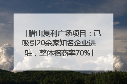 腊山复利广场项目：已吸引20余家知名企业进驻，整体招商率70%