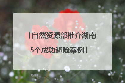 自然资源部推介湖南5个成功避险案例