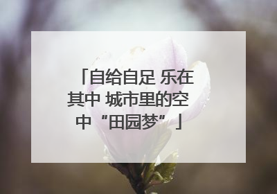 自给自足 乐在其中 城市里的空中“田园梦”