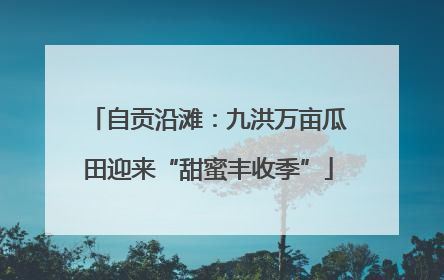自贡沿滩：九洪万亩瓜田迎来“甜蜜丰收季”