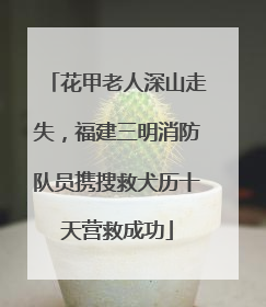 花甲老人深山走失，福建三明消防队员携搜救犬历十天营救成功