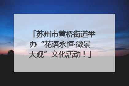 苏州市黄桥街道举办“花语永恒·微景大观”文化活动！