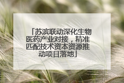 苏滨联动深化生物医药产业对接，精准匹配技术资本资源推动项目落地