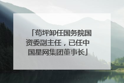 苟坪卸任国务院国资委副主任，已任中国星网集团董事长