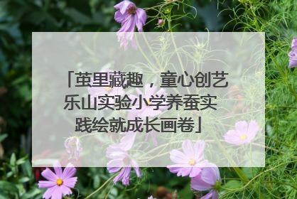 茧里藏趣，童心创艺 乐山实验小学养蚕实践绘就成长画卷