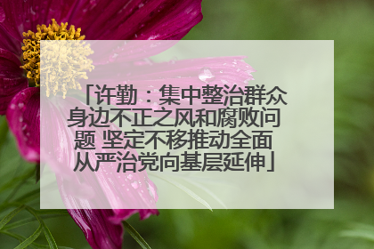 许勤：集中整治群众身边不正之风和腐败问题 坚定不移推动全面从严治党向基层延伸