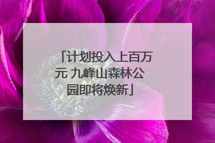 计划投入上百万元 九峰山森林公园即将焕新
