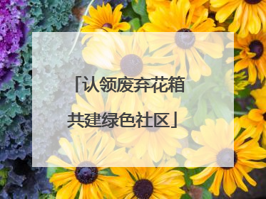 认领废弃花箱 共建绿色社区