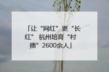 让“网红”更“长红” 杭州培育“村播”2600余人