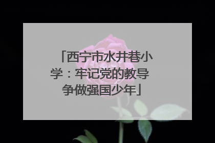西宁市水井巷小学：牢记党的教导 争做强国少年