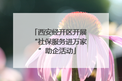 西安经开区开展“社保服务进万家”助企活动