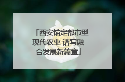 西安锚定都市型现代农业 谱写融合发展新篇章