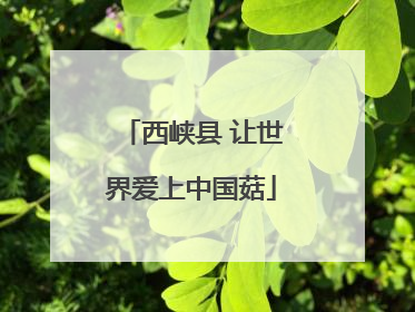 西峡县 让世界爱上中国菇