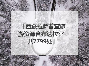 西藏拉萨普查旅游资源含布达拉宫共7799处