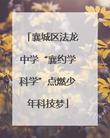 襄城区法龙中学“襄约学科学”点燃少年科技梦